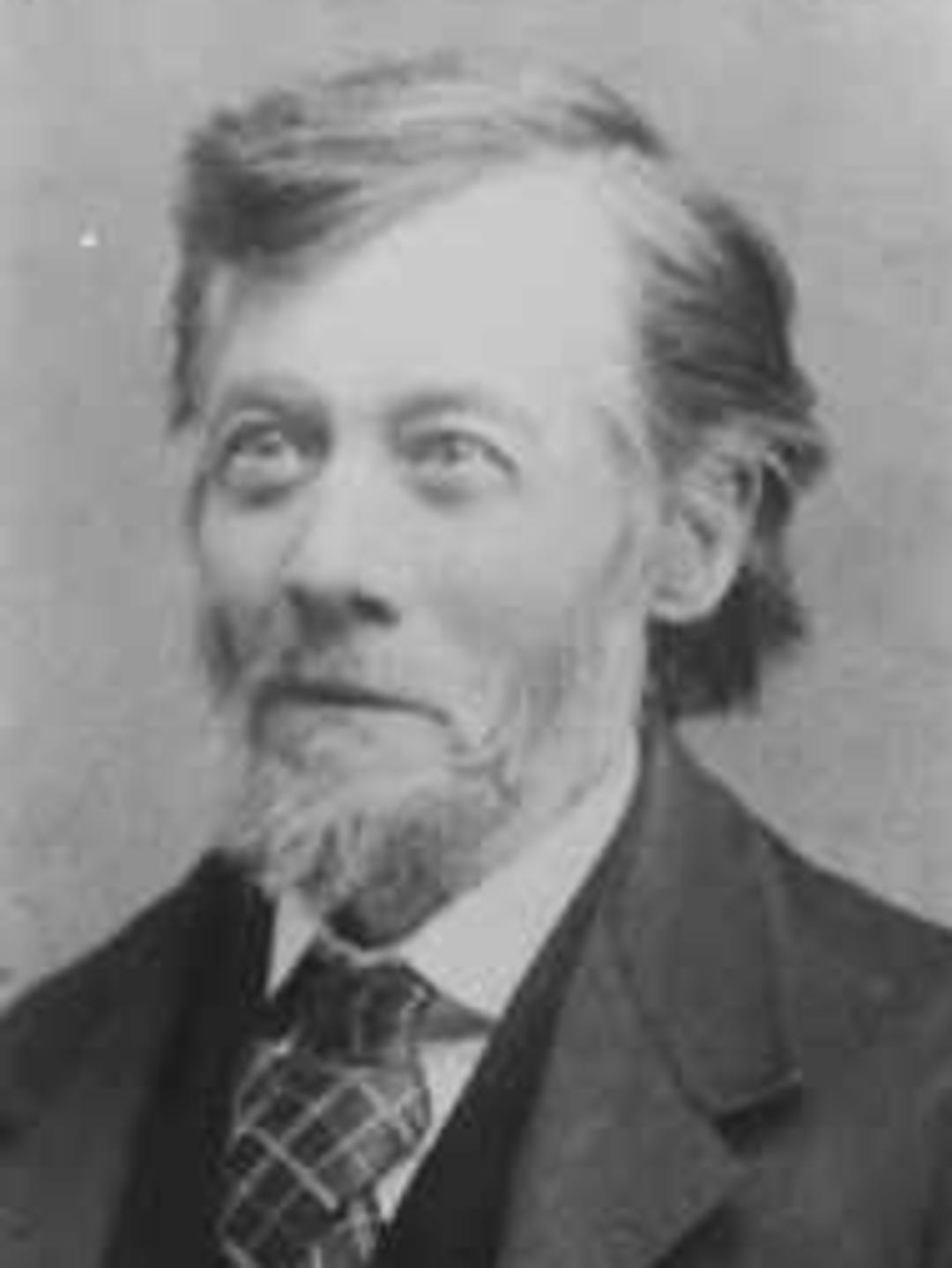 William Henry Sutcliff Hodgson (1824 - 1892) Profile